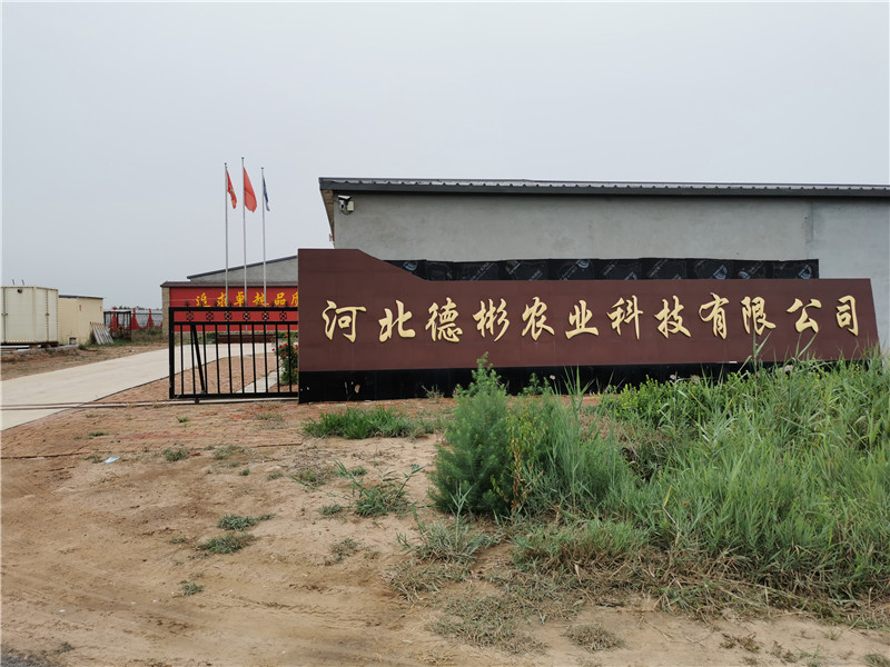 案例展示